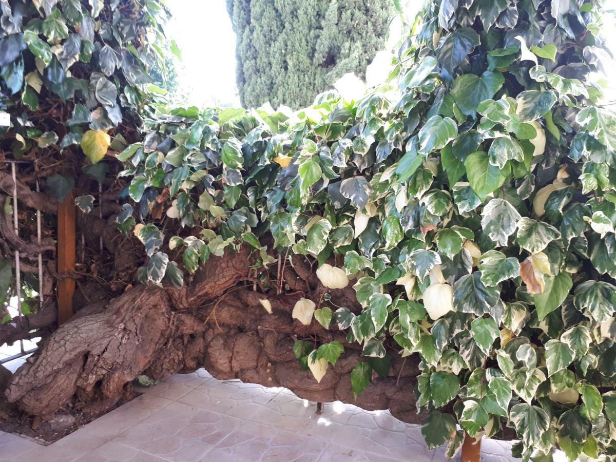 Hotel La mia Resilienza nei Sassi di Matera Esterno foto